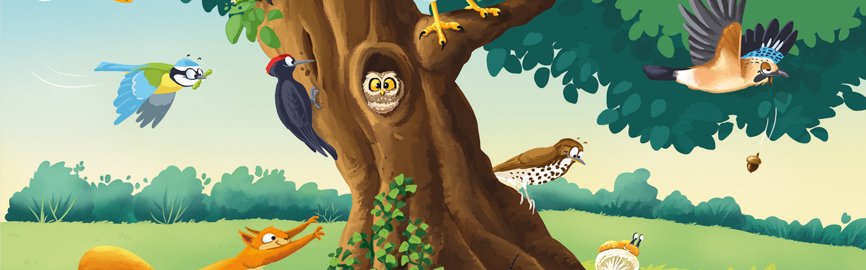 Les Mille et une vies de l’arbre