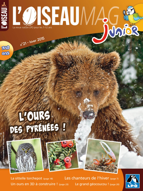 L'OISEAU MAG Junior n°21 - L'Ours des Pyrénées !