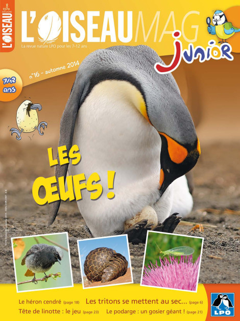 L'OISEAU MAG Junior n°16 - Les Oeufs