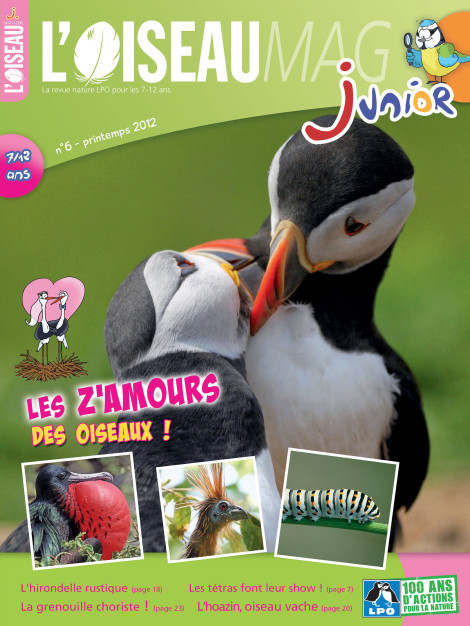 L'OISEAU MAG Junior n°6 - Les Z'Amours des oiseaux