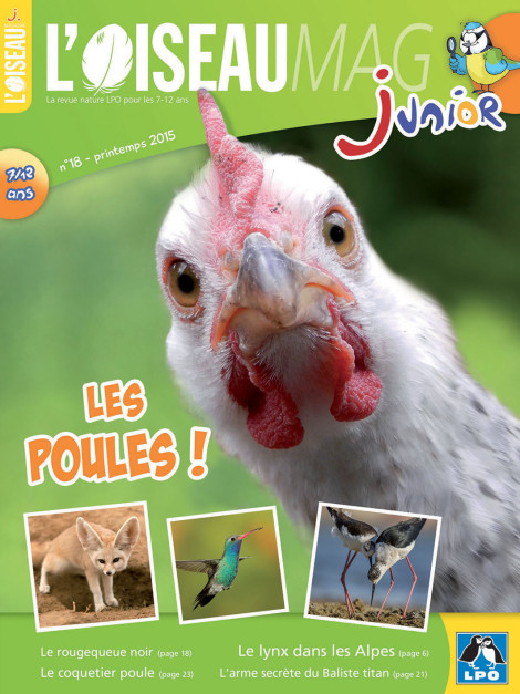 L'OISEAU MAG Junior n°18 - Les Poules