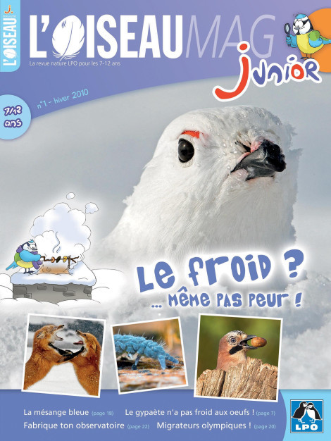 L'OISEAUMAG Junior n°1 - Le froid ? Même pas peur !
