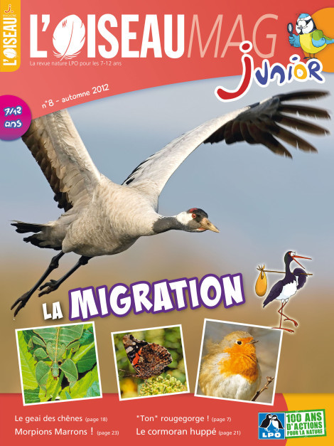 L'OISEAU MAG Junior n°8 - La Migration