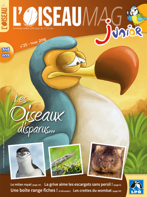 L'OISEAU MAG Junior n°25 - Les oiseaux disparus…
