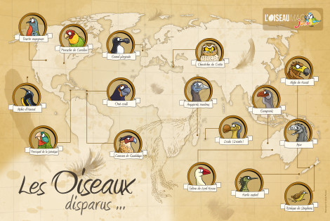 Poster des oiseaux disparus - L'OISEAU MAG Junior n°25