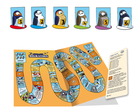 Jeux hirondelles - L'OISEAU MAG Junior n°24